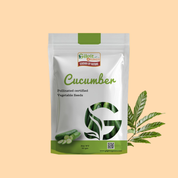 Cucumber